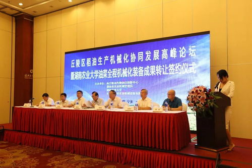 金洲镇田间“庞然大物”揭秘 现代农业技术转让的新篇章