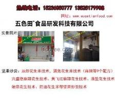 小吃技术配方转让 从街头美味到创业财富的指南